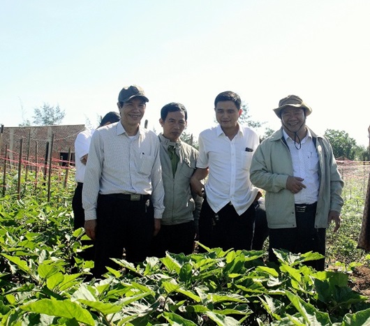 1 Kết quả bước đầu sản xuất nông nghiệp ứng dụng công nghệ cao tại Quảng Ngãi