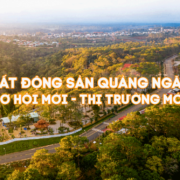 bds quang ngai BĐS QUẢNG NGÃI – CƠ HỘI MỚI, THỊ TRƯỜNG MỚI